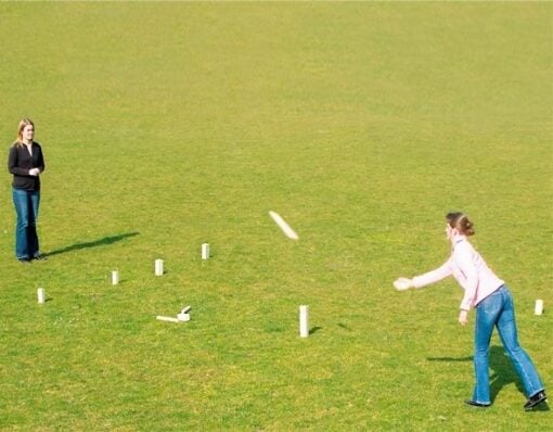 Kubb spel, vinnig spel, koningen, Goki, wonderzolder.nl