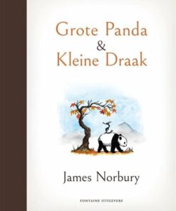 grote panda en kleine draak, James norbury, filosofisch boek, spiritueel, wonderzolder.nl