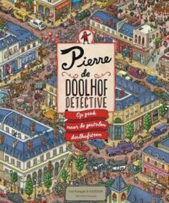 op zoek naar de doolhofsteen, Pierre de doolhof detective, zoekboek, puzzelen, boek, wonderzolder.nl