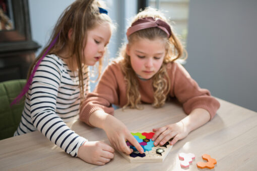 Bijtjezzz puzzel, smartgame, puzzel, BS Toys, spelen, puzzelen, spel, wonderzolder.nl