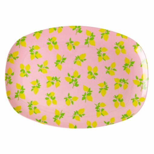rectangular plate lemon rice de wonderzolder