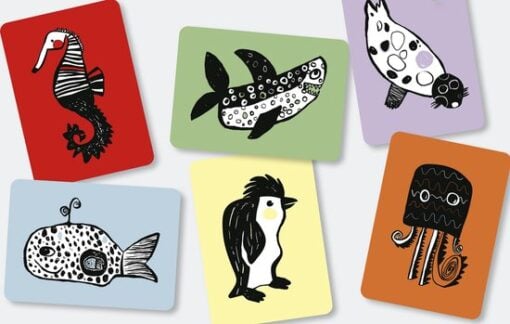 Mini Coco | Flash Cards | Ocean | NL - Afbeelding 6