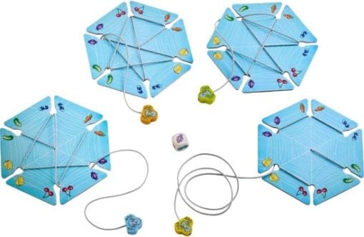 Haba - Walter Wikkelspin - Bordspel - Afbeelding 6